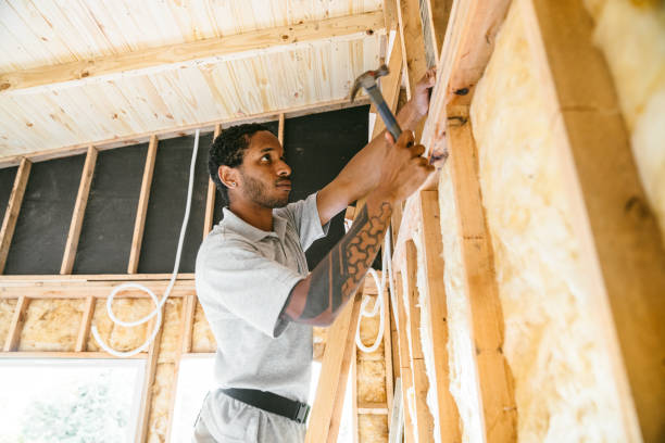 Best Professional Insulation Contractor  in Dunellen, NJ